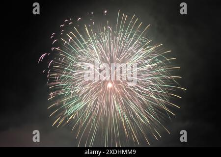 Fireworks in the night Stock Photo