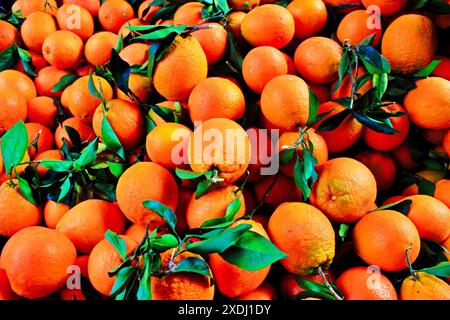 Stall with oranges at street market in Athens, Greece. Stock Photo
