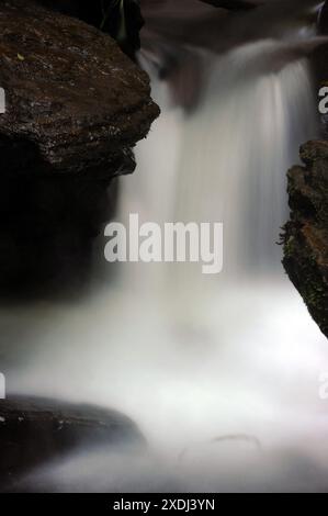 Melincourt Brook just below Melincourt Falls. Stock Photo