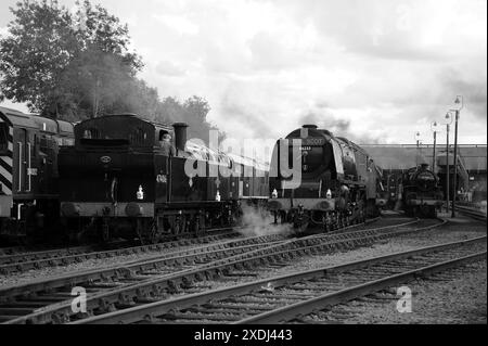 '47406' on shed at Barrow Hill with 'Duchess of Sutherland', 'Leander' (behind 46233) and 43106. Stock Photo