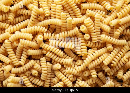 Raw Dry Organic Italian Fusilli Corti Bucati Stock Photo