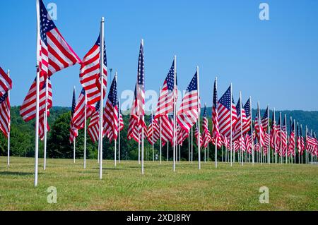 American Flags on a green field and blue sky Stock Photo