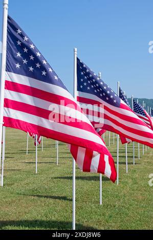 The Star Spangled Banner flying in the breeze on a green field of gass with blue skies Stock Photo