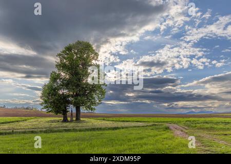 Broumov basin, Eastern Bohemia, Czech Republic Stock Photo