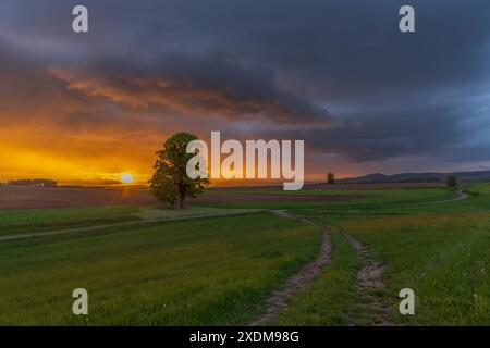 Broumov basin, Eastern Bohemia, Czech Republic Stock Photo