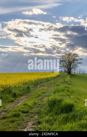 Broumov basin, Eastern Bohemia, Czech Republic Stock Photo