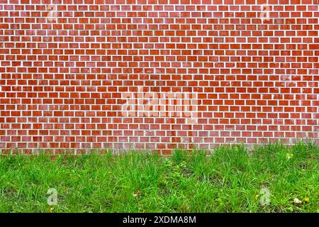 Brick red wall and green grass texture Stock Photo