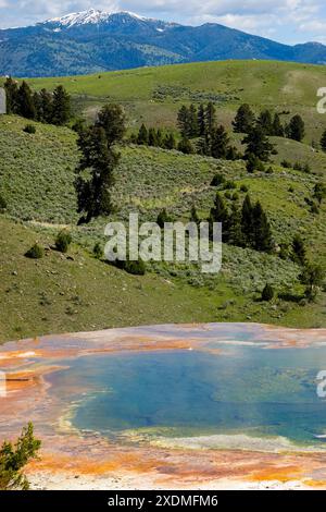 Mammoth hot springs travertine terraces. Yellowstone National Park , Wyoming , USA Stock Photo