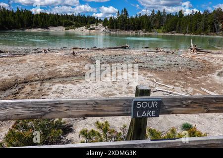 Sour Lake on the Mud Volcano trail Yellowstone National Park , Wyoming ; USA Stock Photo