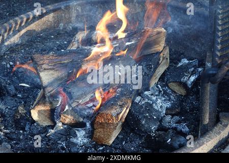 Wood campfire burning with  glowing embers and flames  in a fire ring Stock Photo