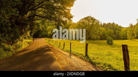 Afternoon Sunlight Streaming Through The Trees on The Cades Cove Loop, Great Smoky Mountains National Park, Tennessee, USA Stock Photo