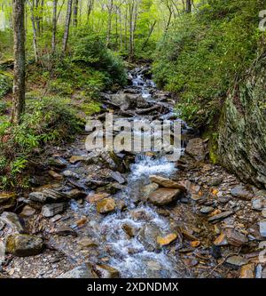 Alum Cave Creek Cascading Through Appalachian Forest, Great Smoky Mountains National Park, Tennessee, USA Stock Photo