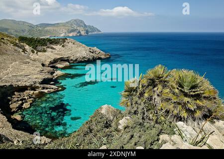 Península de Llevant.Arta.Mallorca.Islas Baleares. España. Stock Photo