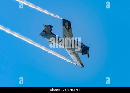 North American T-28B Trojan at Antidotum Air Show 2024 in Leszno ...