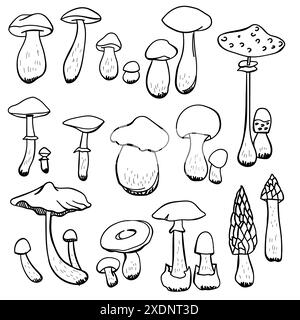Collection of detailed mushrooms isolated on white background. Set of contour vector drawings with edible mushrooms Stock Vector