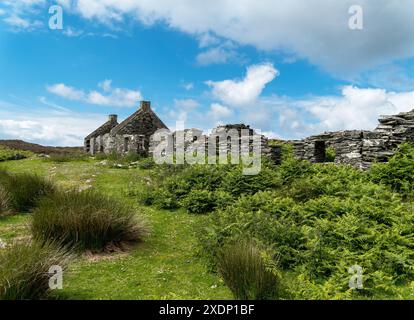 Row of ruined houses in abandoned settlement of Riasg Buidhe, Isle of Colonsay, Scotland, UK. Stock Photo