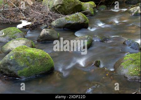 Taggerty Cascades are on the Taggerty River, north of Marysville in Victoria, Australia. Most of this area was destroyed in the 2009 bushfires. Stock Photo