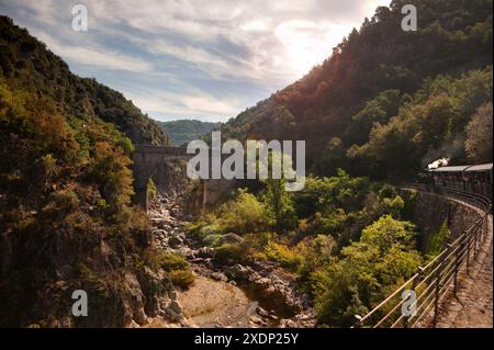 Bridge crossing the Gorges du Doux, Scenic railway, Chemin de Fer du Vivarais, Ardeche, France Stock Photo