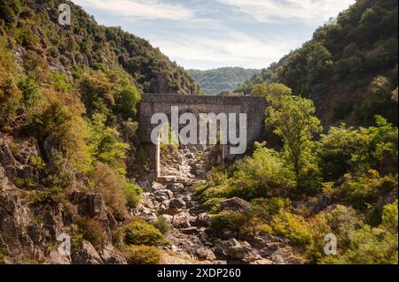 Bridge crossing the Gorges du Doux, Scenic railway, Chemin de Fer du Vivarais, Ardeche, France Stock Photo