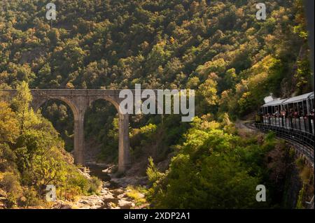 Bridge crossing the Gorges du Doux, Scenic railway, Chemin de Fer du Vivarais, Ardeche, France Stock Photo