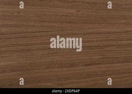 New expensive nut veneer background in universal brown color. Stock Photo