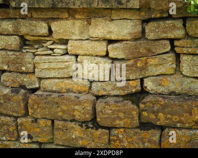 Close up of dry stone wall with lichen growths, St Michael's churchyard, Melksham, Wiltshire. Traditional masonry. dry stone walling. Cotswold Stone. Stock Photo