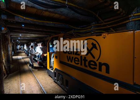 The yellow mine railway of Salzwelten Hallein carries visitors in white protective overalls through the illuminated tunnel near Hallein, Salzburg, Austria. The company logo, featuring the mining emblem "Schlägel und Eisen" (crossed mallet and pick), is clearly legible on the locomotive. Cables and pipes run along the wooden tunnel ceiling. Stock Photo
