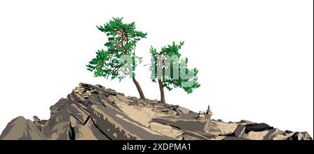 Trees, two pine trees on hill isolated on white sky background Stock Vector