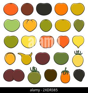 Set of color illustrations with green and yellow tomatoes. Isolated vector objects on white background. Stock Vector