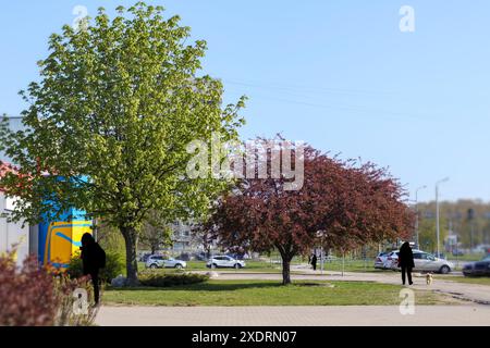 green and red wooden urban environment with stylized people on the sidewalk Stock Photo