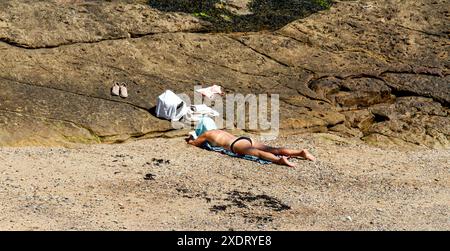 St Andrews, Fife, Scotland, UK. 24th June 2024. UK Weather: St Andrews in Fife, Scotland, has bright sunshine with temperatures reaching 23°C. The hot June weather draws both locals and tourists to Castle Beach where people enjoy the Scottish summer and sunbathe.  Credit: Dundee Photographics/Alamy Live News Stock Photo