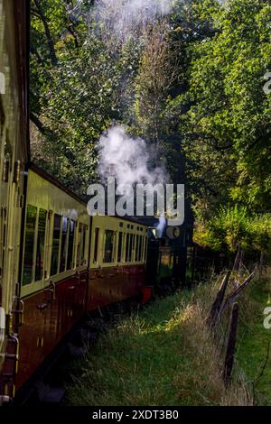 Vintage Stream train traveling through the ancient woodlands of the Vale of Rheidol in Wales. The steam train through the Vale of Rheidol has been car Stock Photo