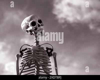 Laughing skeleton hi-res stock photography and images - Alamy