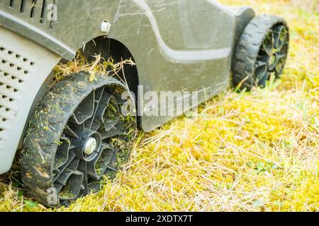 A grey lawn mower on the green grass in the park. Close-up. Mowing grass with an electric mower. Trim the lawn. Cleaning the garden. High quality phot Stock Photo