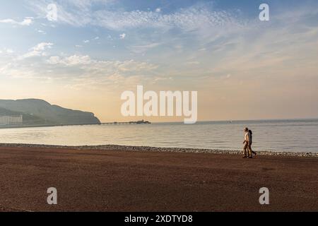Couple walking on beach at sunset, Llandudno, Conwy, Wales, UK Stock Photo