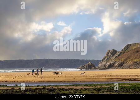People walking dogs on the beach, Three Cliffs bay, Gower, Wales, UK Stock Photo