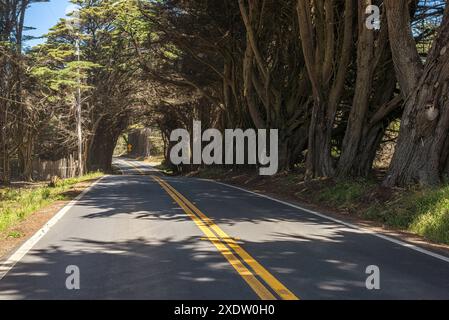 Scenery along Highway 1 north of Fort Bragg in Mendocino County, California. Stock Photo