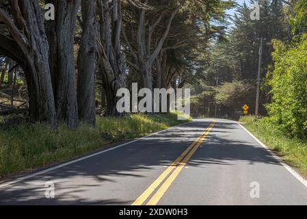 Scenery along Highway 1 north of Fort Bragg in Mendocino County, California. Stock Photo