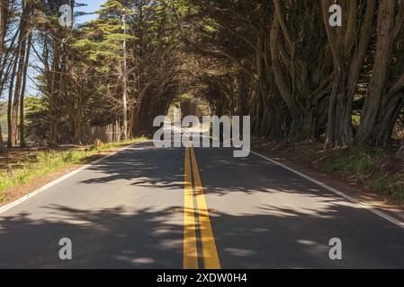 Scenery along Highway 1 north of Fort Bragg in Mendocino County, California. Stock Photo