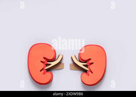Paper kidneys on light background Stock Photo