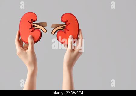 Woman with paper kidneys on light background Stock Photo