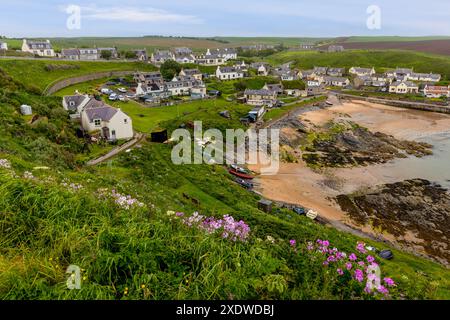 The picturesque Collieston Harbour in Aberdeenshire, Scotland, features charming cottages nestled against rugged cliffs, overlooking a small sheltered Stock Photo