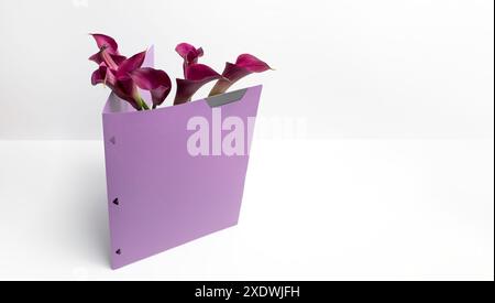 Banner Purple Calla lily Plant and document folder on White Background, Empty Space for Text. Holiday, Mockup For International Accounting Day Stock Photo