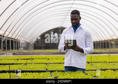 Farmer with tablet working in organic hydroponic vegetable garden at greenhouse, copy space Stock Photo
