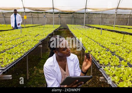 Inspecting hydroponic plants in greenhouse, female farmer using tablet, copy space Stock Photo