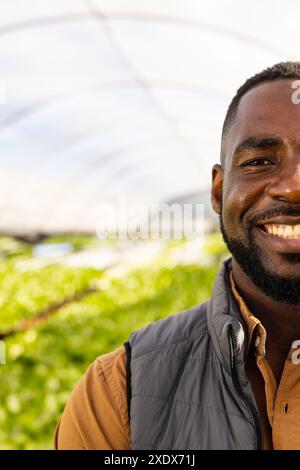 Smiling African American farmer in greenhouse, overseeing hydroponic vegetable farm, copy space Stock Photo