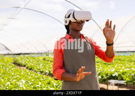 Using VR headset, farmer monitoring hydroponic vegetable garden in greenhouse Stock Photo