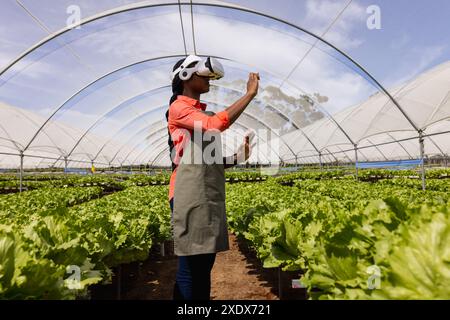 Farmer using VR headset for managing hydroponic vegetable garden in greenhouse Stock Photo