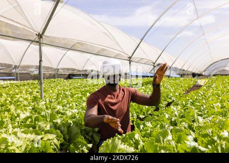 Using VR headset, farmer managing hydroponic vegetable garden in greenhouse Stock Photo