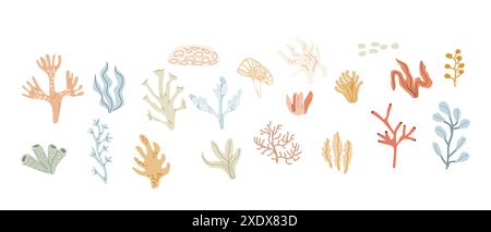 Cute childrens sea plants set. Marine underwater elements collection. Ocean inhabitants set of coral. Wild aquatic creatures in childish naive hand dr Stock Vector